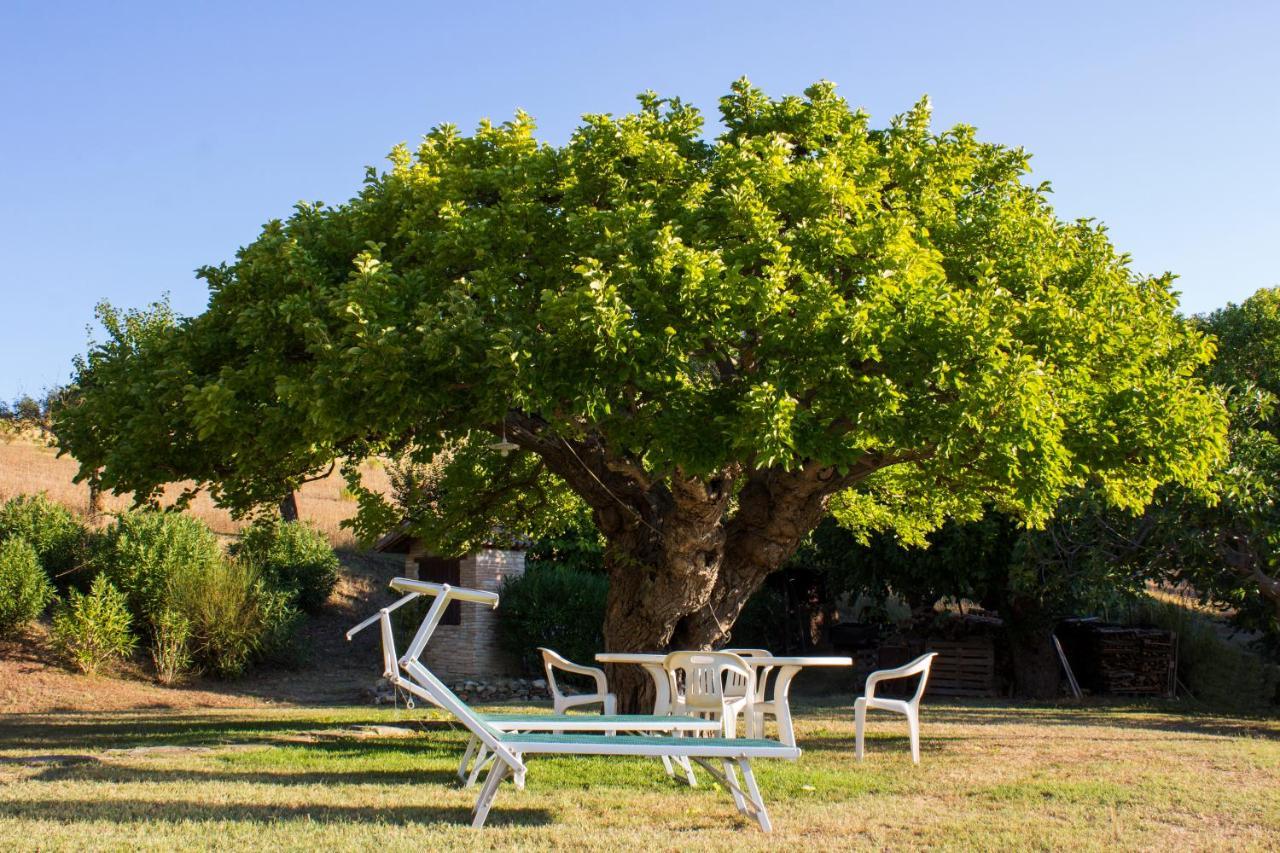B&B Salvarosa Fano Buitenkant foto