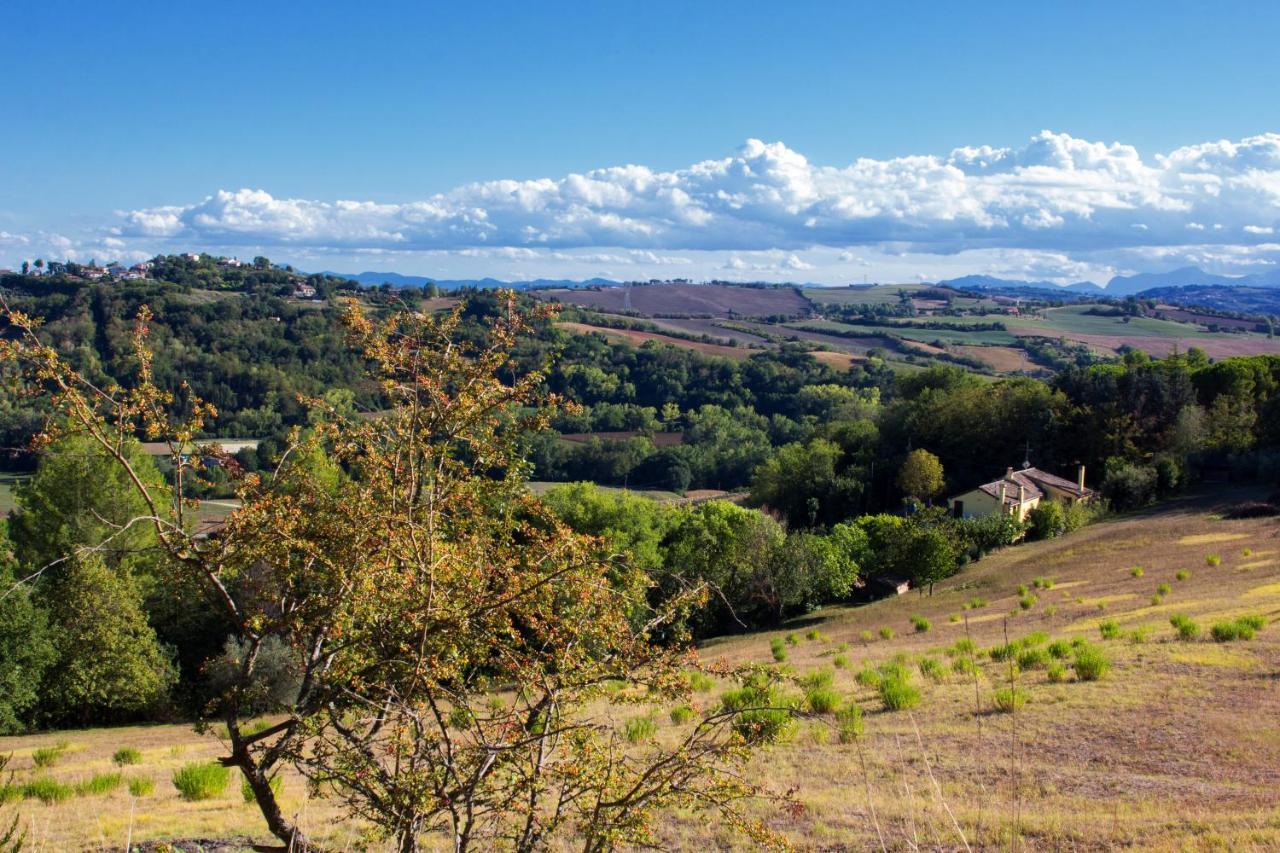 B&B Salvarosa Fano Buitenkant foto