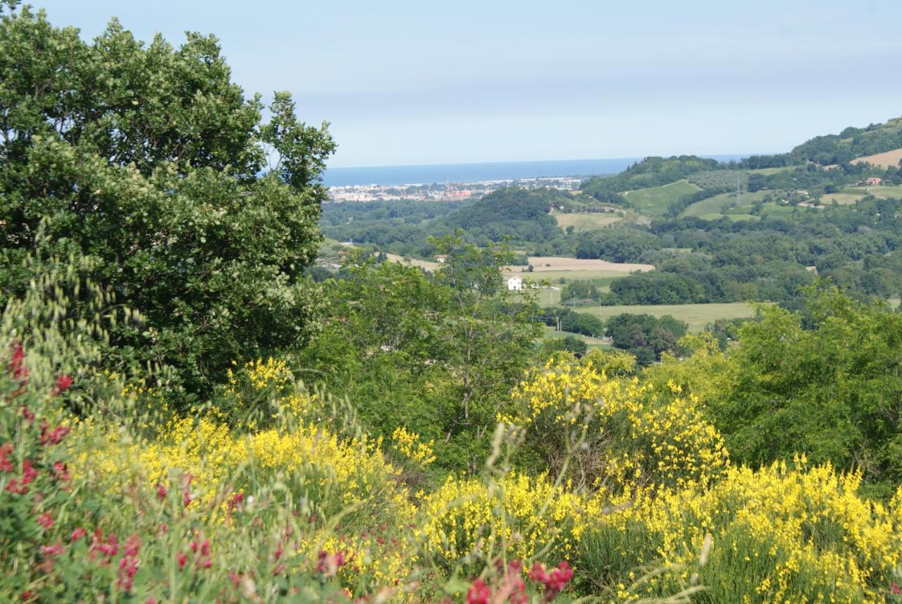 B&B Salvarosa Fano Buitenkant foto